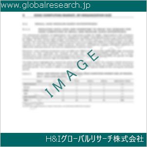 グローバルリサーチ調査資料のイメージ